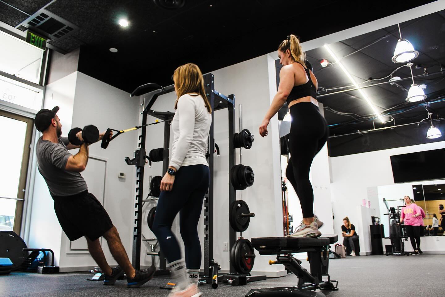 | SHED | Personal Training Studio