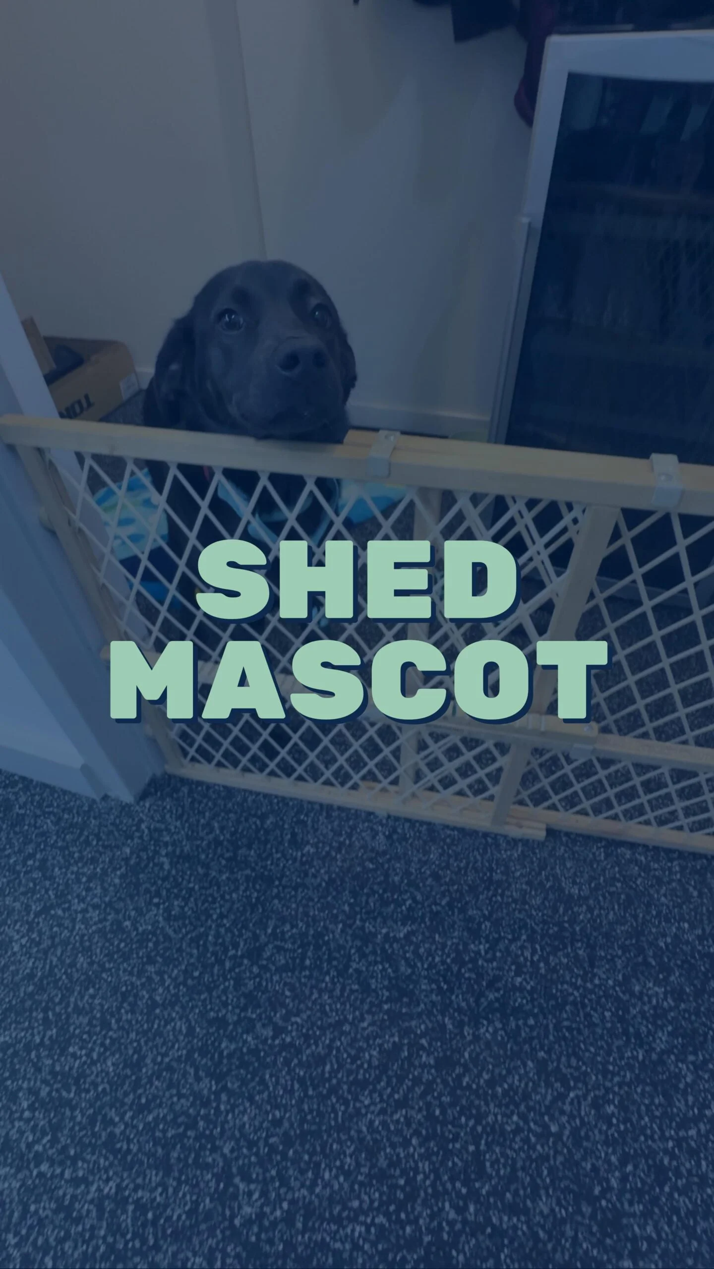 | SHED | Personal Training Studio