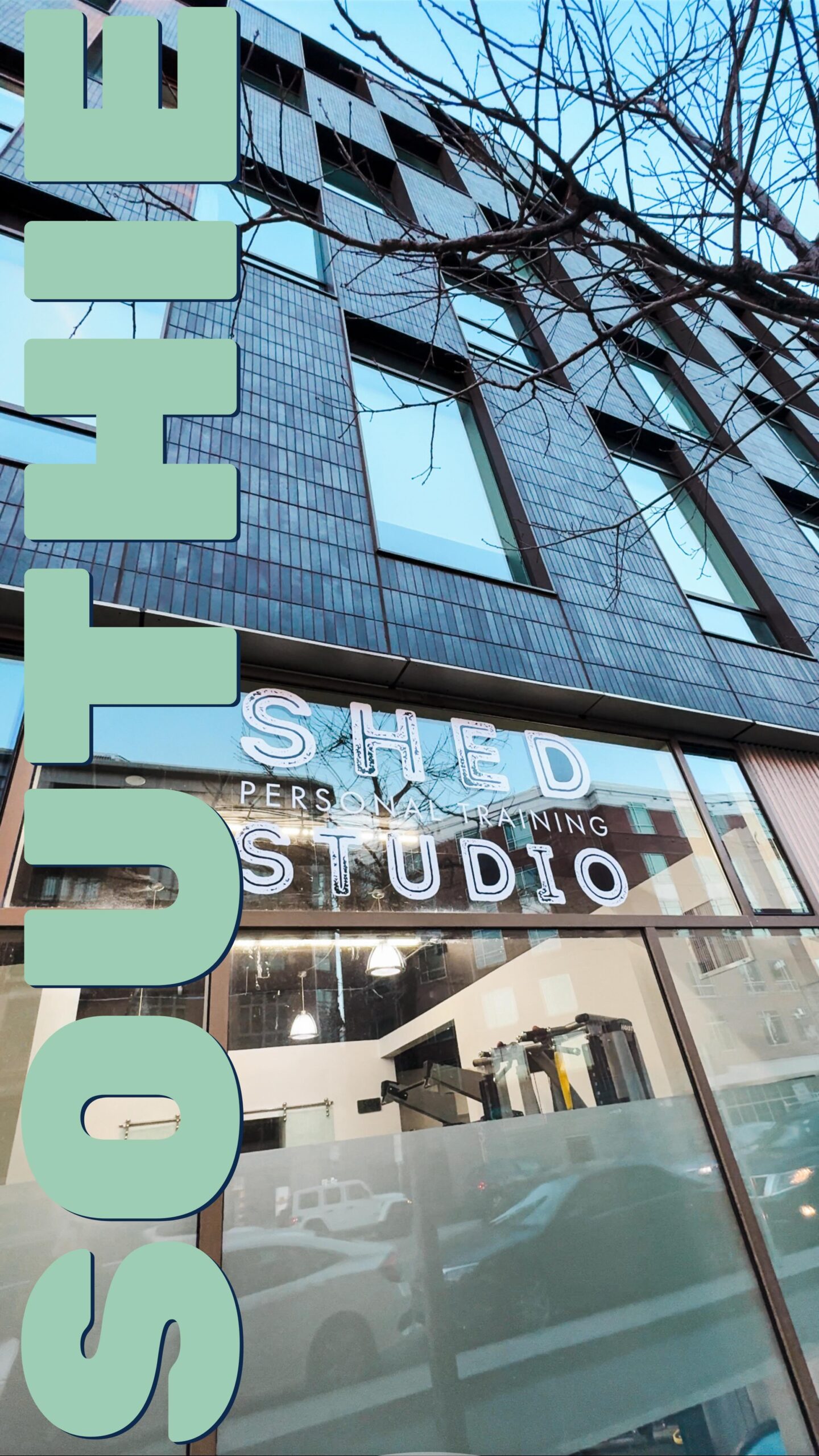 | SHED | Personal Training Studio
