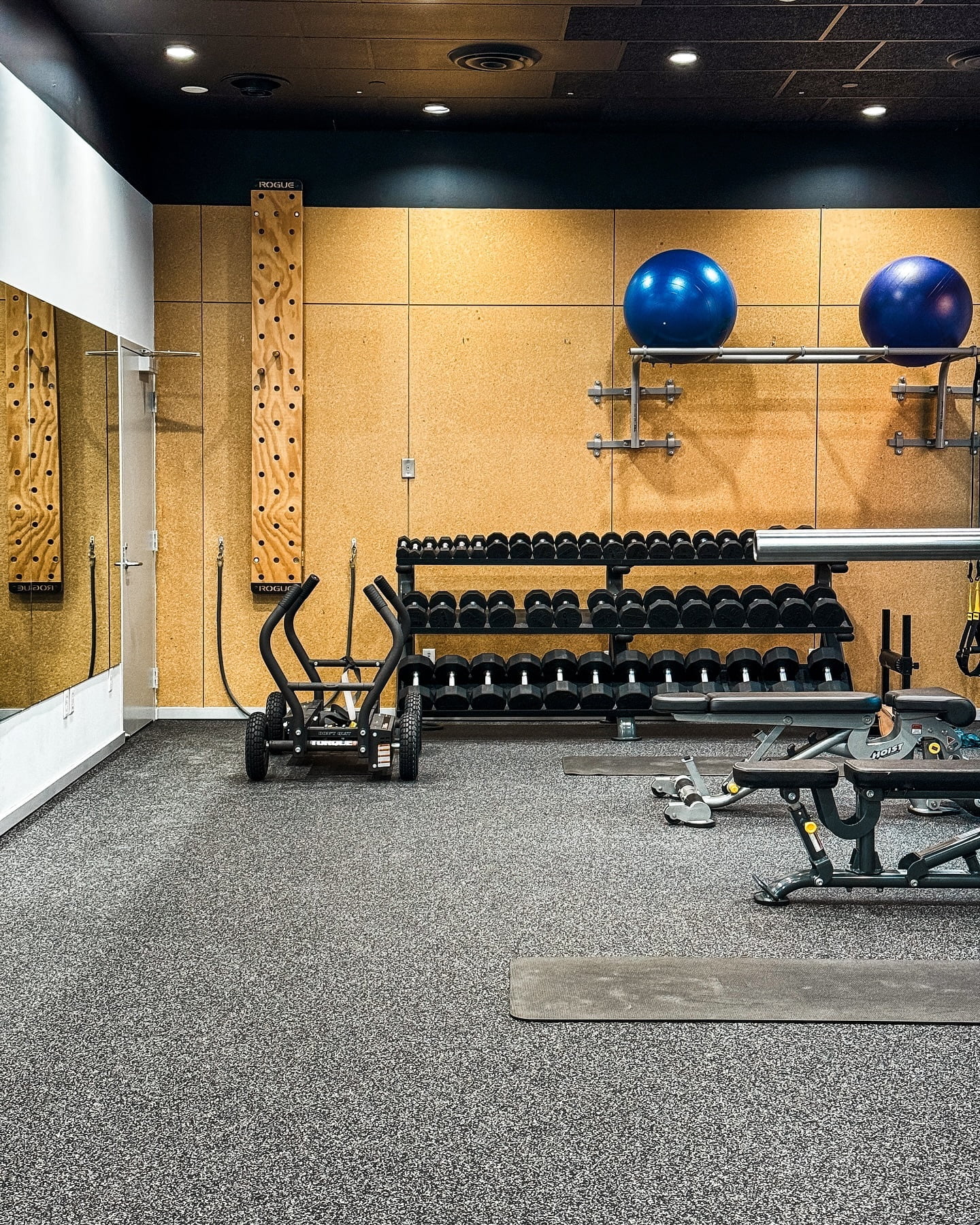 | SHED | Personal Training Studio