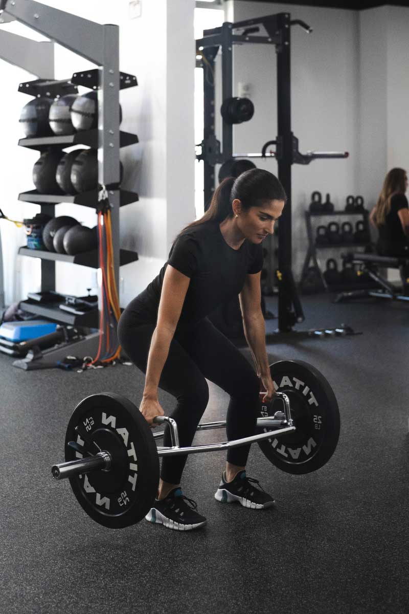 shed trainer and client